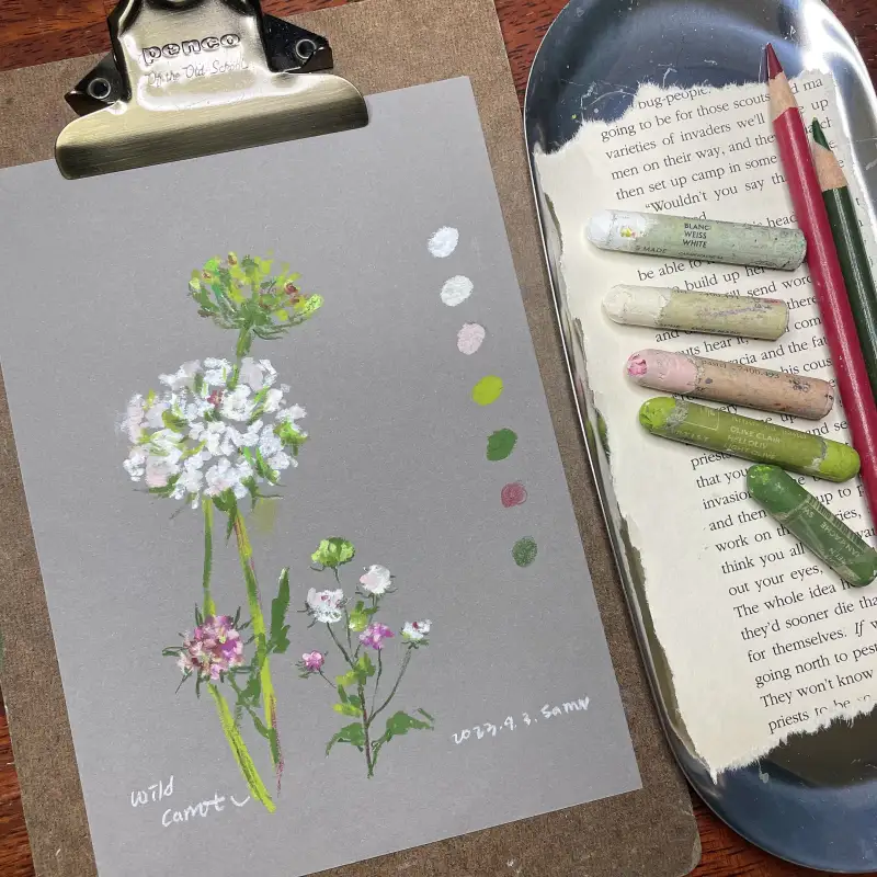 새미,오일파스텔,까렌다쉬오일파스텔