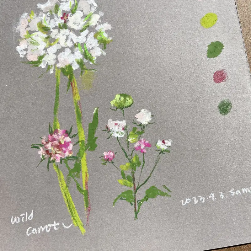 새미,오일파스텔