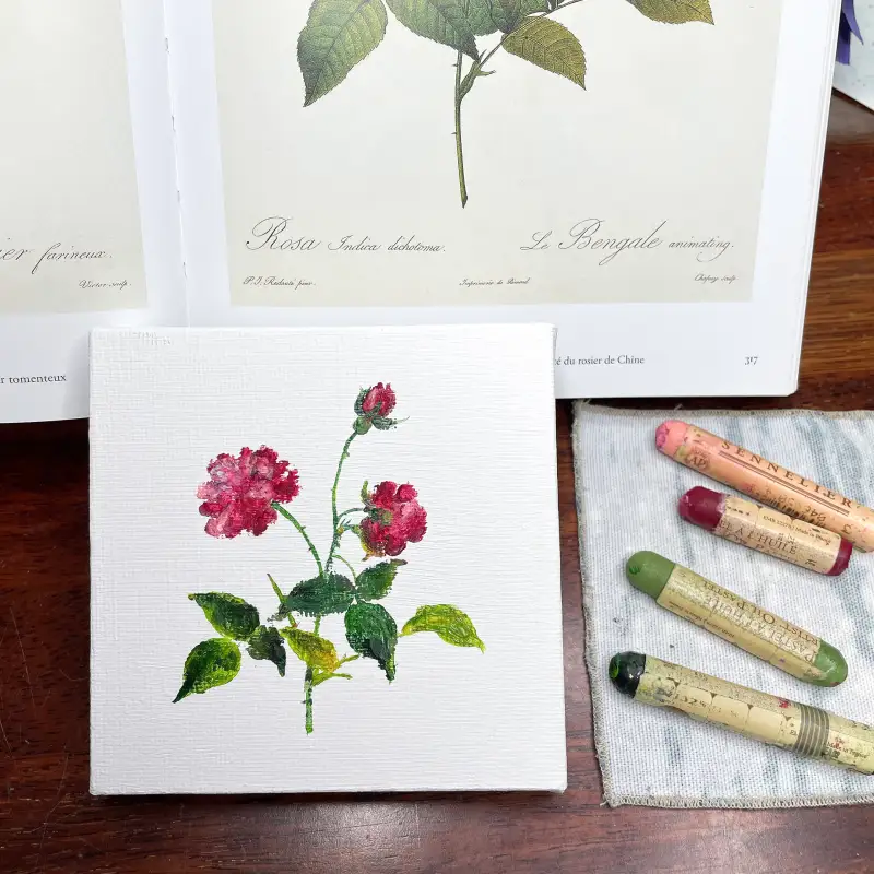 새미,오일파스텔,시넬리에오일파스텔,oilpastel