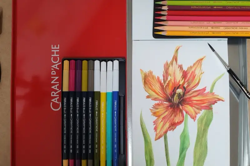 까렌다쉬,까렌다쉬보태니컬세트,보태니컬아트,수성색연필사용법,수성색연필,꽃그림