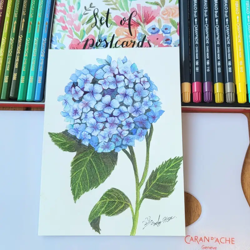 화방넷체험단,까렌다쉬보태니컬세트,까렌다쉬