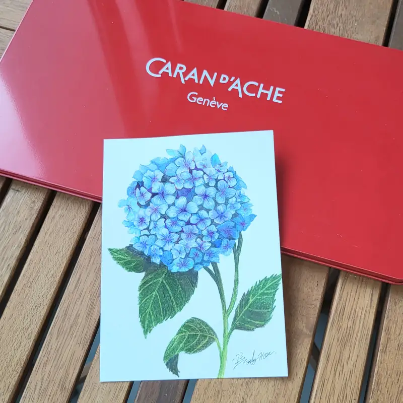 화방넷체험단,까렌다쉬보태니컬세트,까렌다쉬