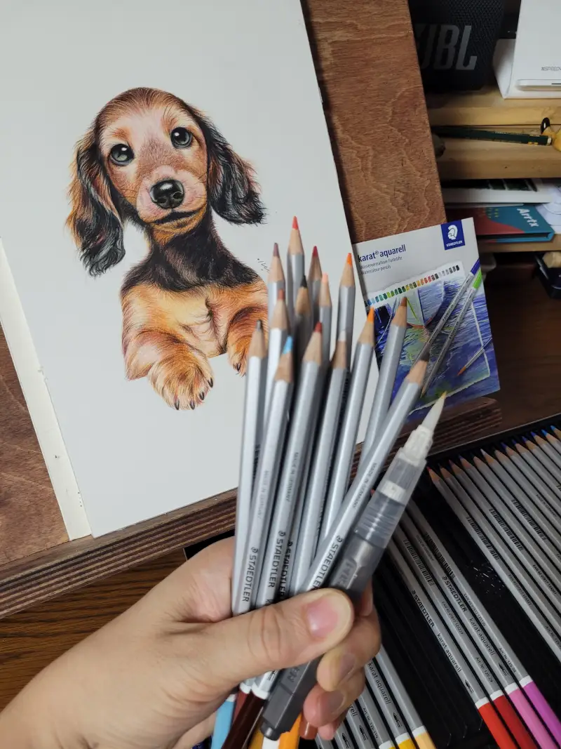 스테들러색연필