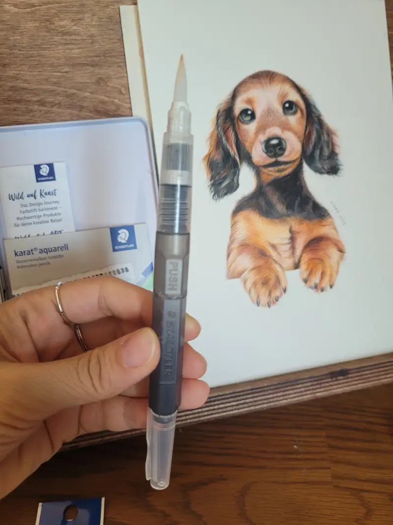 스테들러워터브러쉬