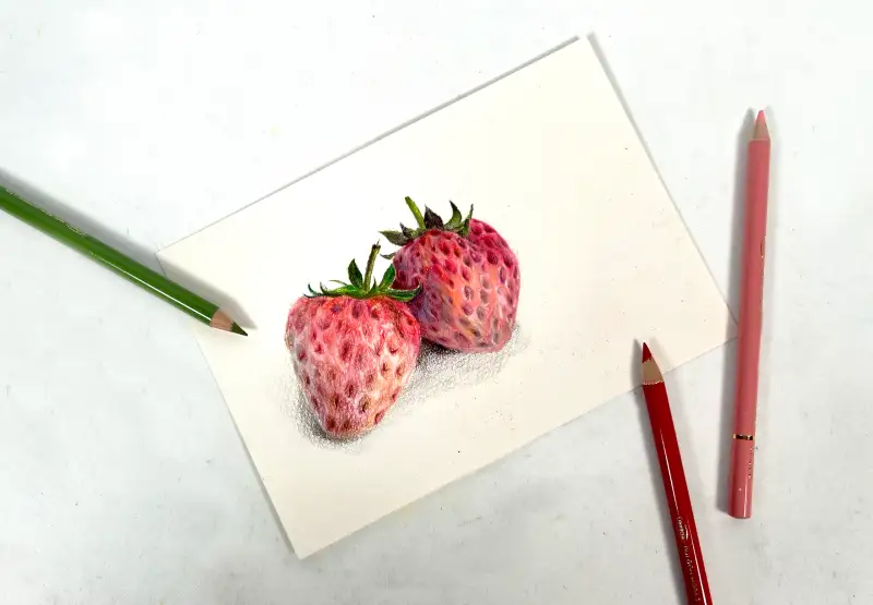 캔손미뗑스사계절패,홀베인유성색연필