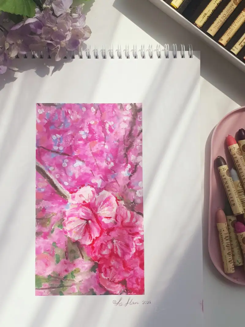 시넬리에오일파스텔,시넬리에오일파스텔전용패드