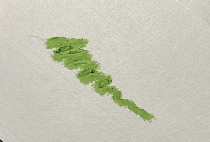 시넬리에오일파스텔,발림