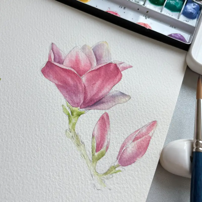 달러로니,랑턴,수채화패드,신한수채화물감