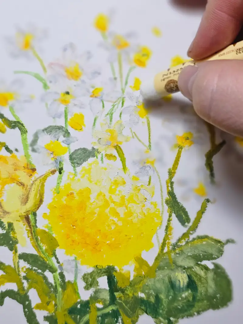 시넬리에오일파스텔