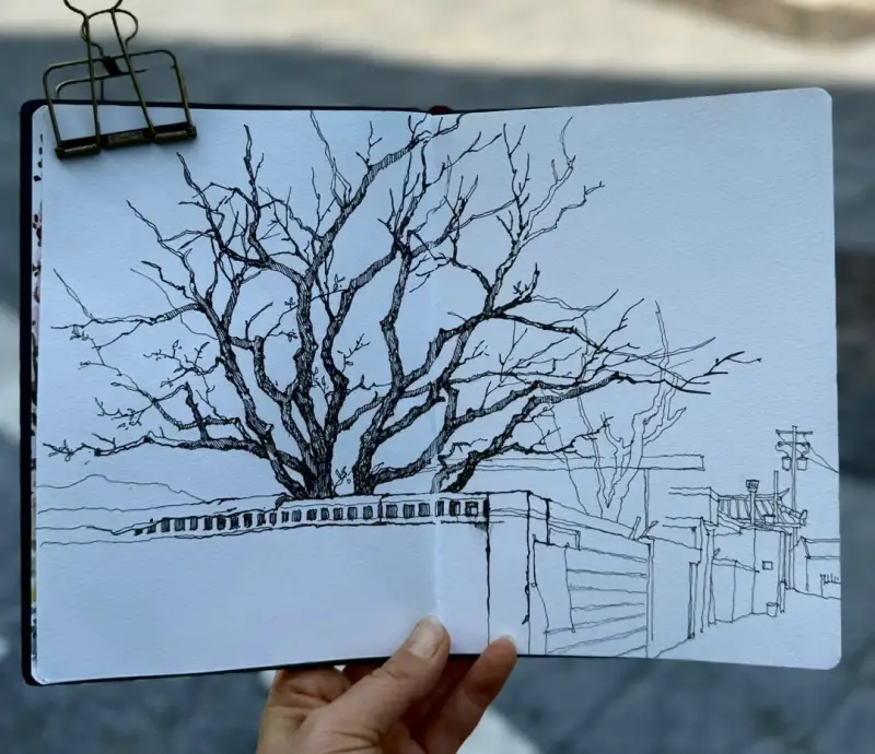 스테들러피그먼트라이너,하네뮬레워터컬러북