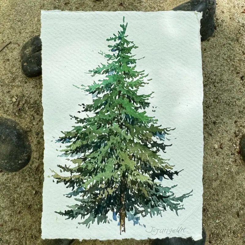 카디페이퍼320g,미젤로골드미션