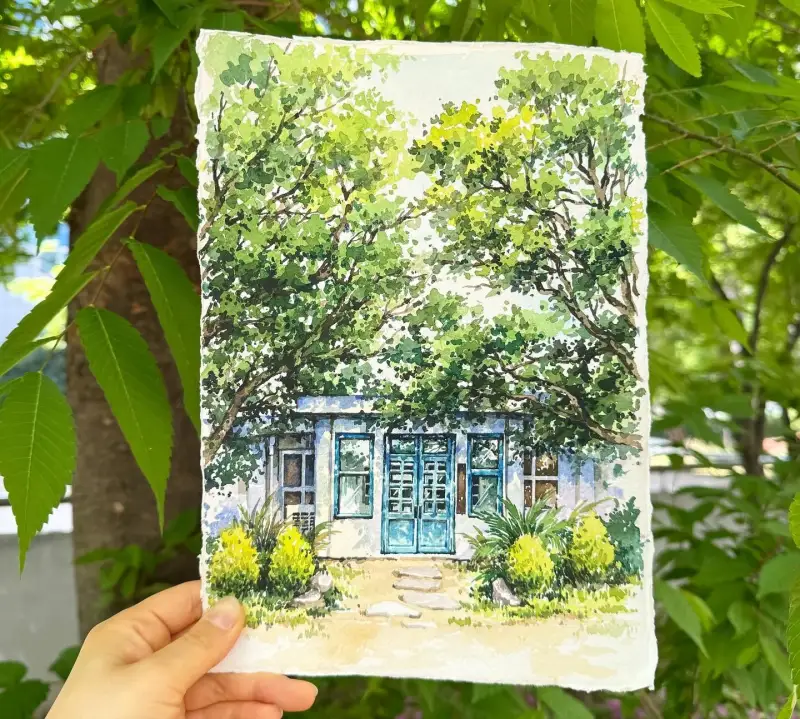 카디페이퍼,미젤로골드미션