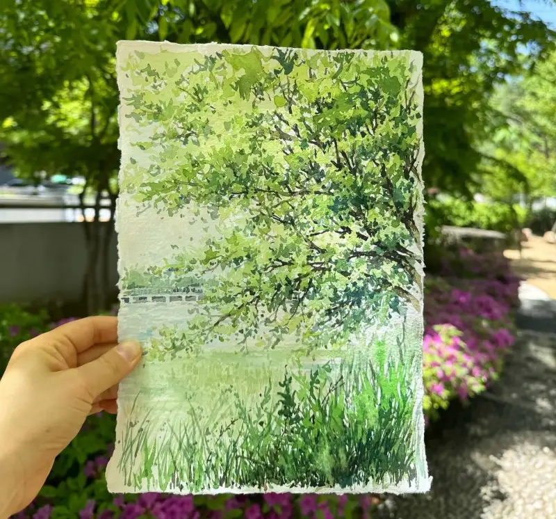 카디페이퍼320g,미젤로미션골드