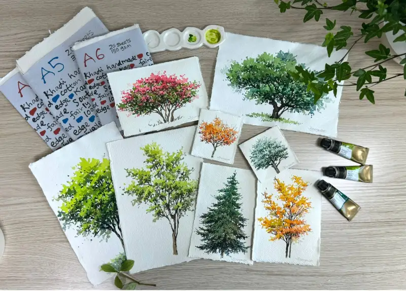 카디페이퍼320g,카디페이퍼150g,미젤로미션골드