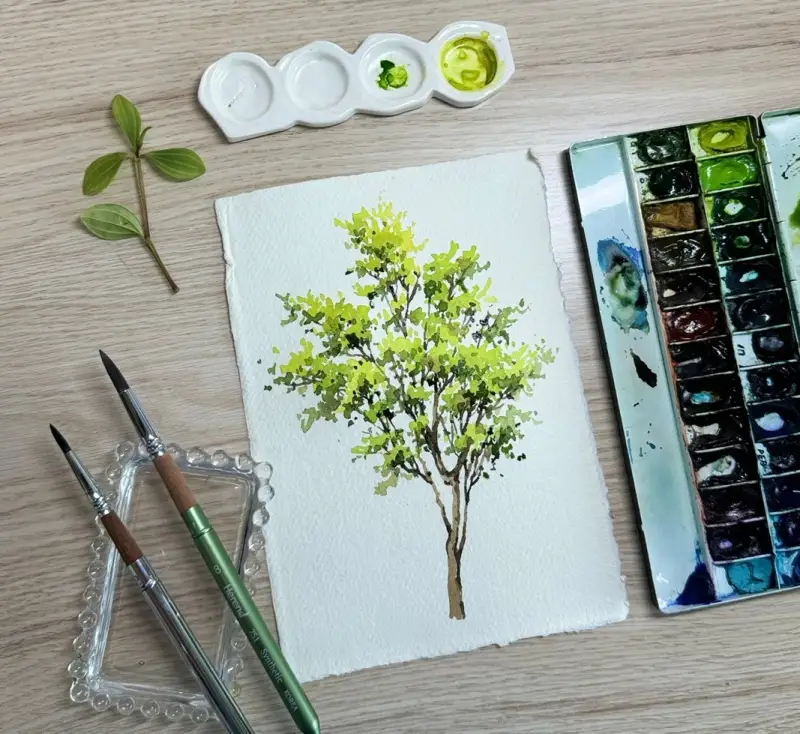 카디페이퍼320g,미젤로미션골드