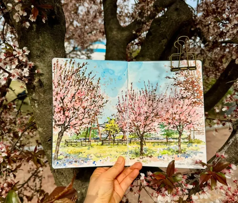 하네뮬레워터칼라북,미젤로미션골드