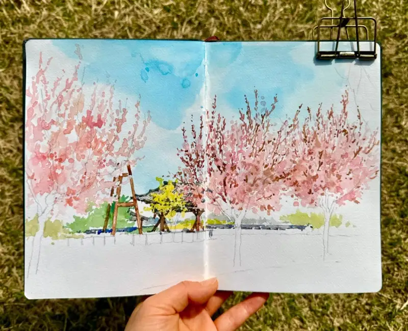 하네뮬레워터칼라북,미젤럼미션골드