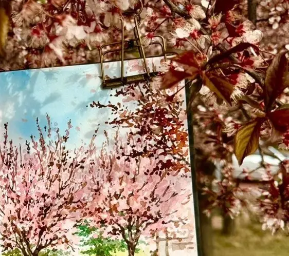 하네뮬레워터칼라북