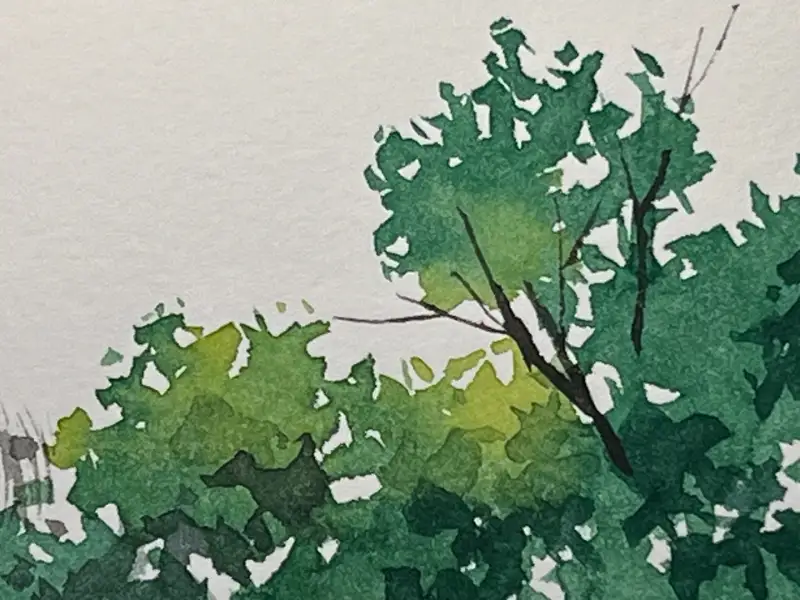 swc,수채물감,수채화종이,헤리티지