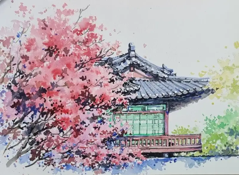 신한swc틴트12색