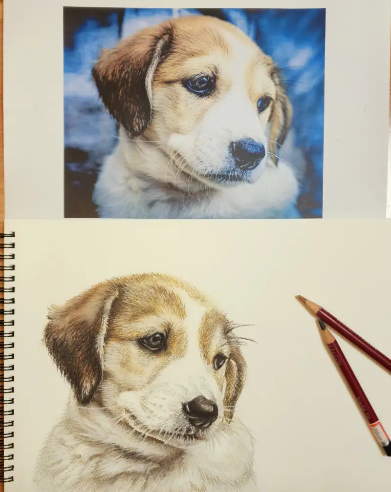 사랑가득챌린지,이벤트참여,강아지그림