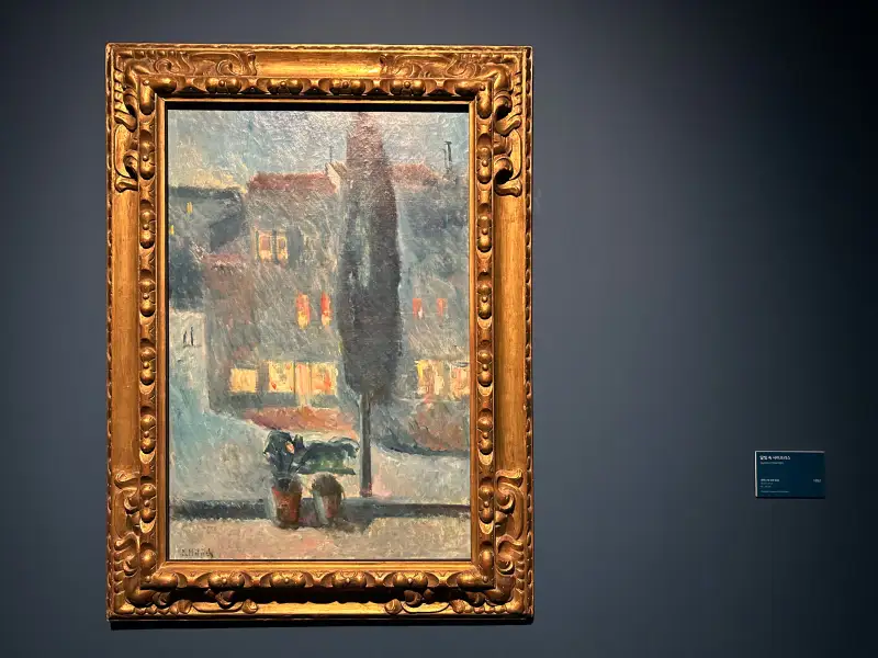 달빛속사이프러스