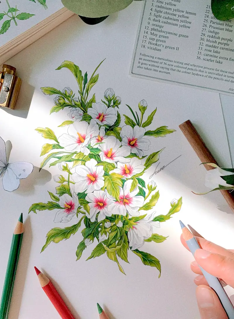 파버카스텔,폴리크로모스,한정판