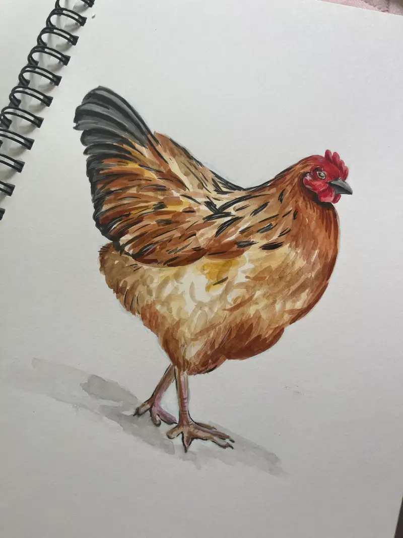 수채화,독학,고1