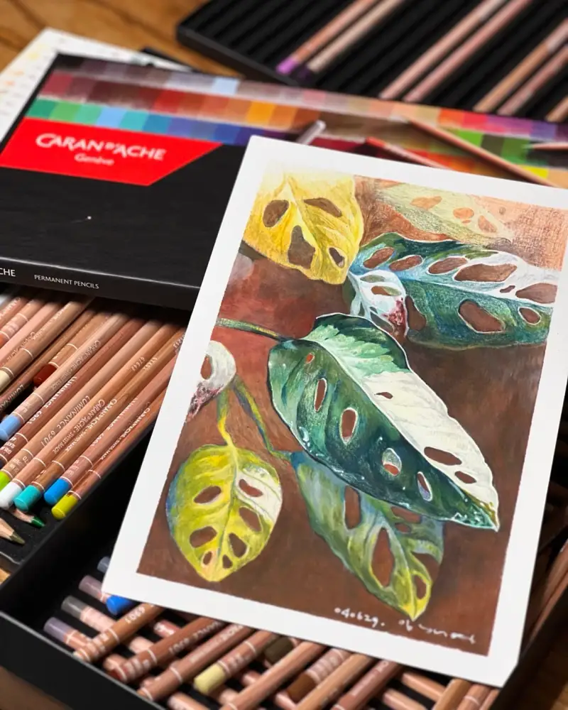 루미넌스,까렌다쉬,까렌다쉬루미넌스색연필,색연필