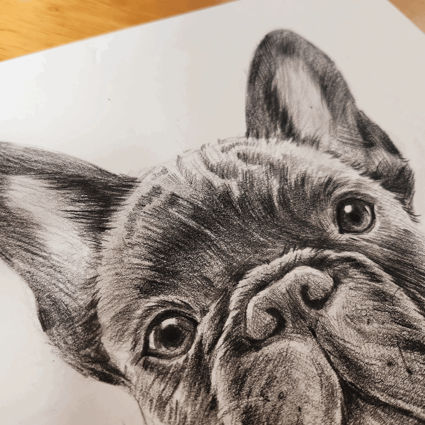 스테들러미술연필,연필드로잉,연필소묘,강아지드로잉,애완동물드로잉