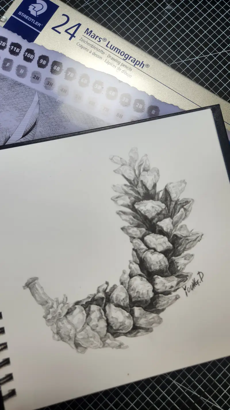 화방넷체험단,스테들러,마스전문24본