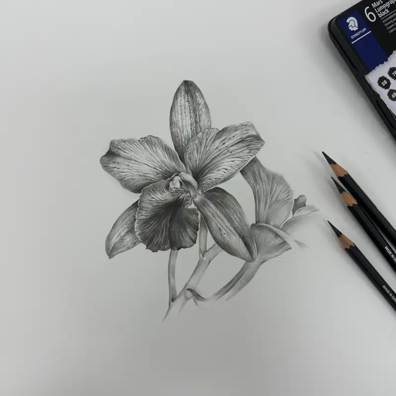 마스아티스트용연필6본세트