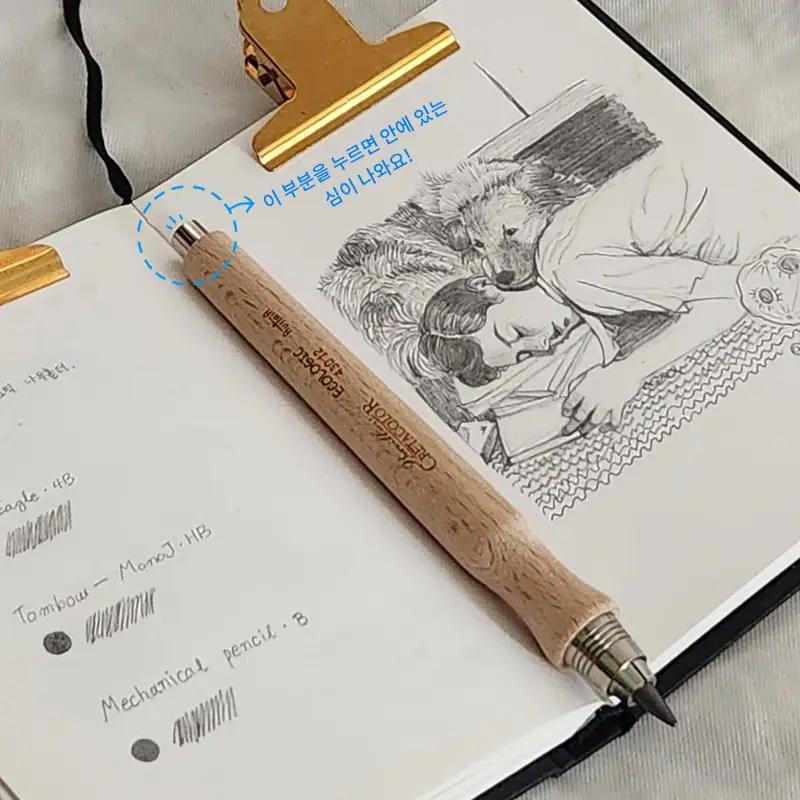 크레타칼라,이그노믹,나무홀더