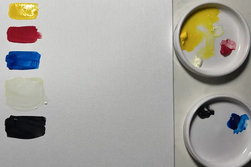 시넬리에과슈,발색