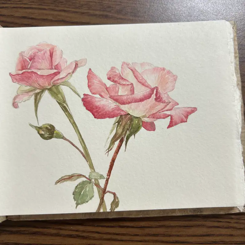 카디페이퍼,장미꽃수채화