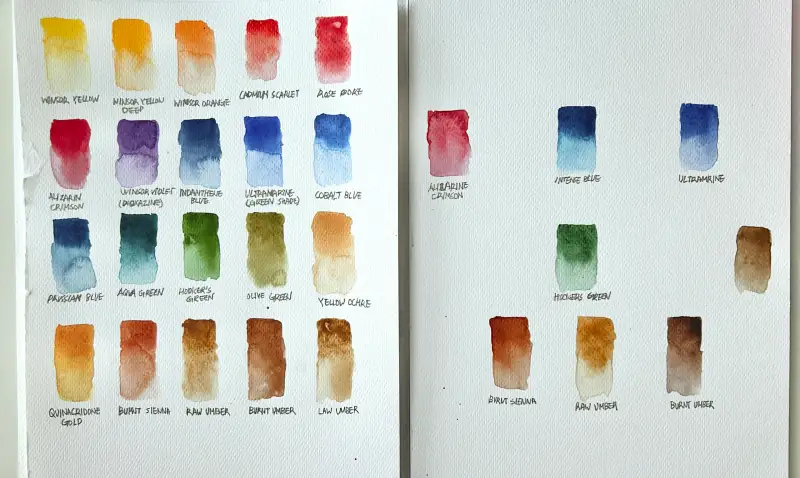 윈저앤뉴튼,프로패셔널,코트만,발색비교