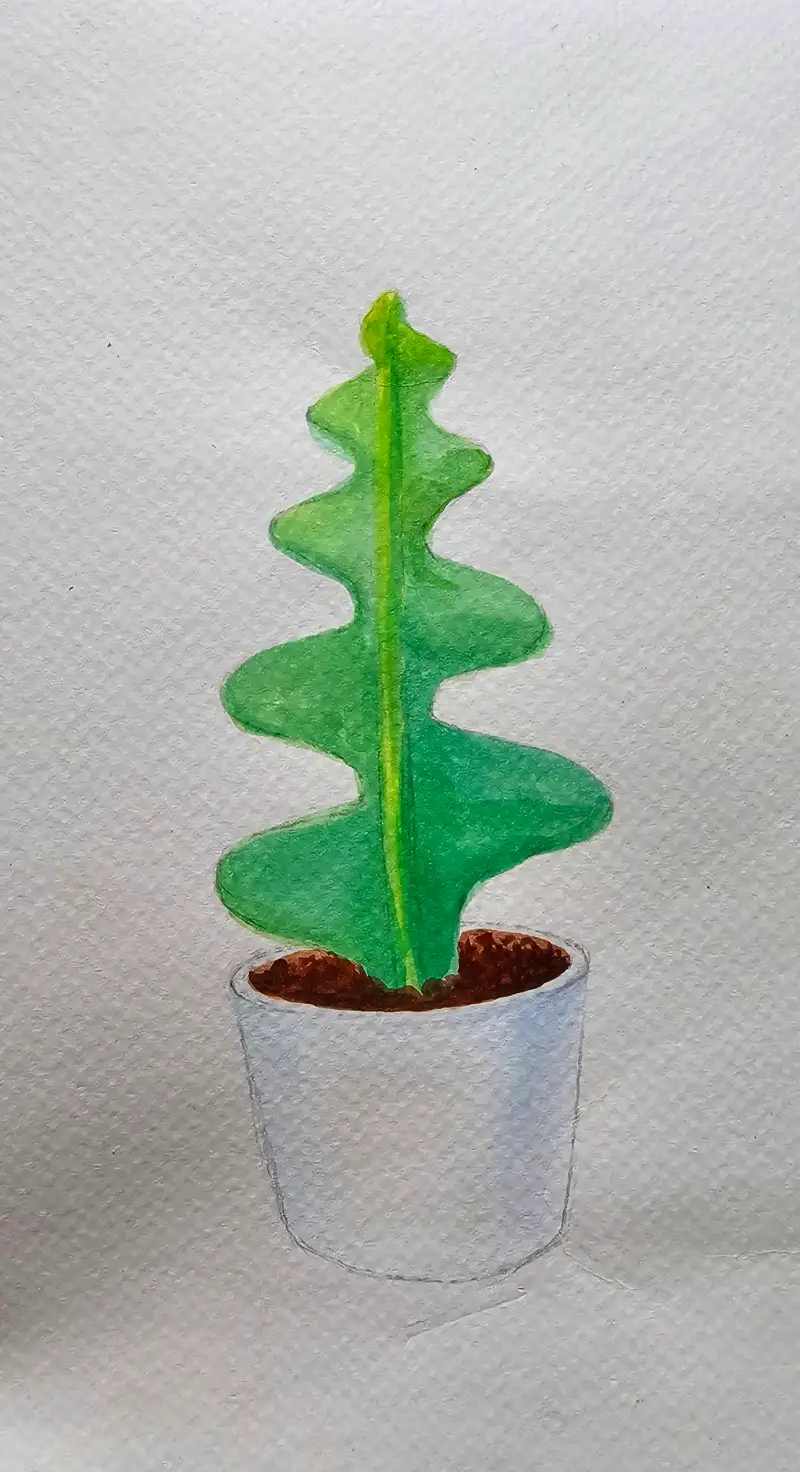 화방넷드로잉로그,여름식물,연필선인장,피시본,키우고싶은