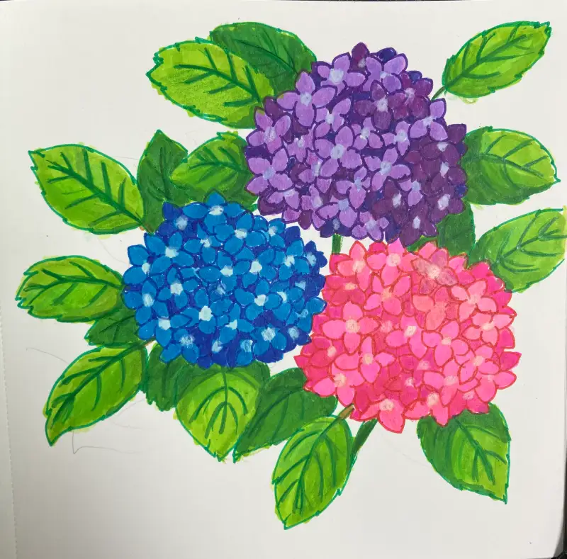 드로잉로그,마카드로잉,수국,색연필,화방넷드로잉로그