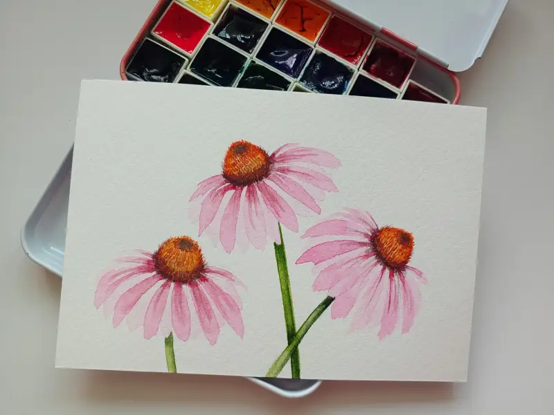 화방넷드로잉로그,드로잉로그,여름식물과꽃,에키네시아