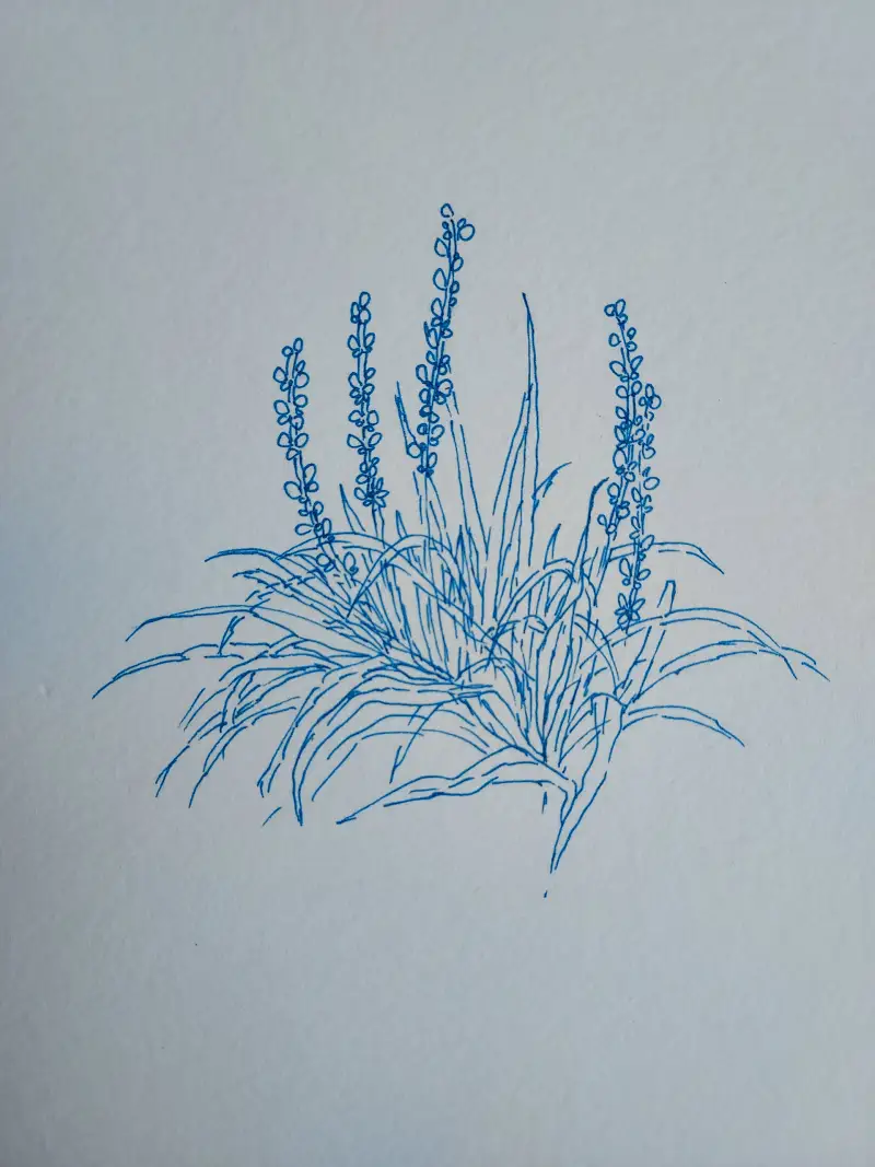 펜드로잉,스테들러