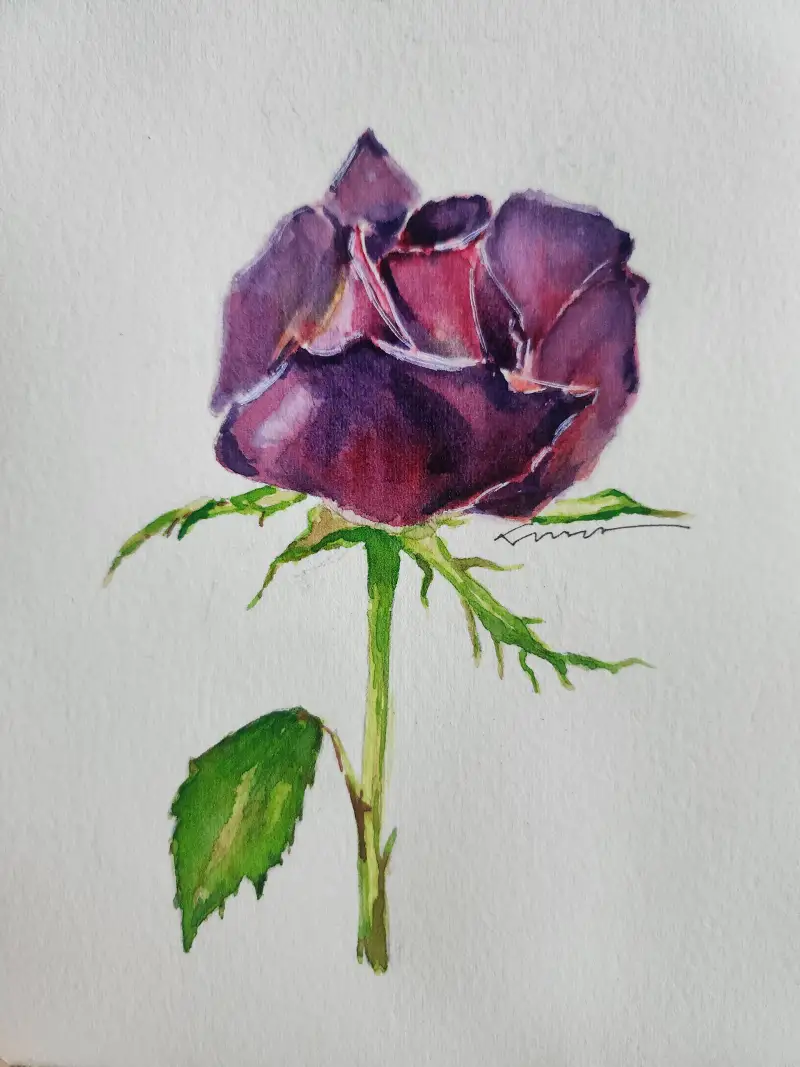 신한,swc,블랙윙연필