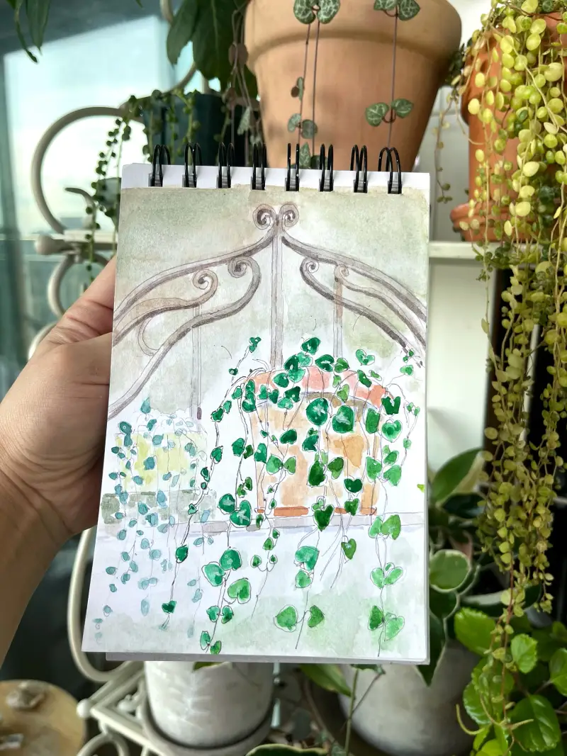 화방넷드로잉로그,드로잉챌린지,식물드로잉