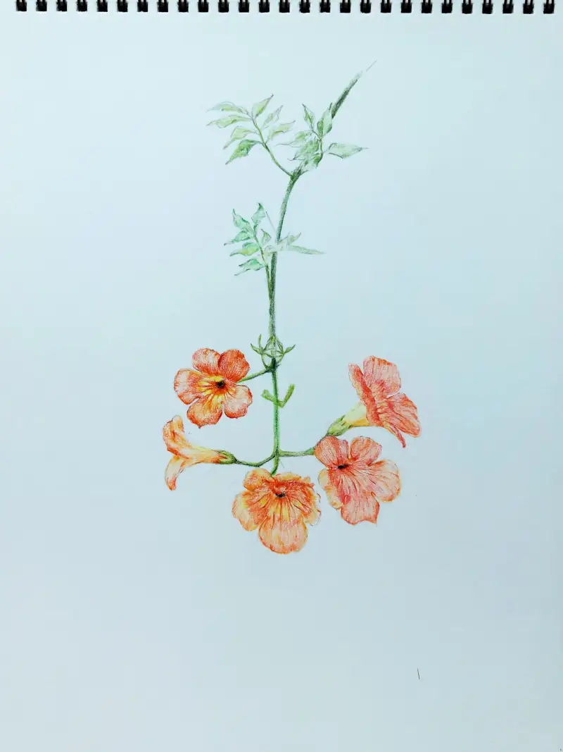 파버카스텔,수채색연필