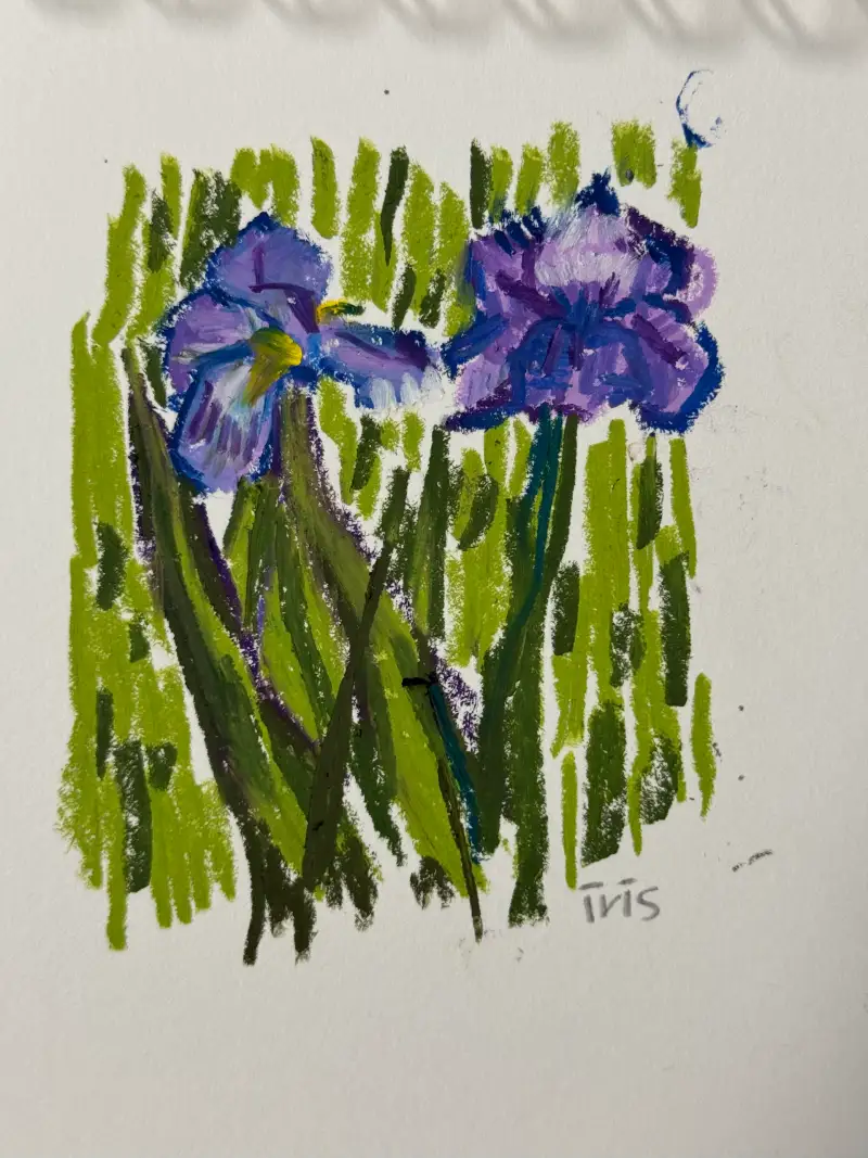 오일파스텔,드로잉로그,붓꽃