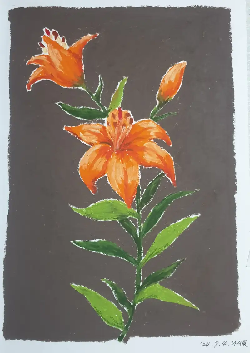 문교오일파스텔