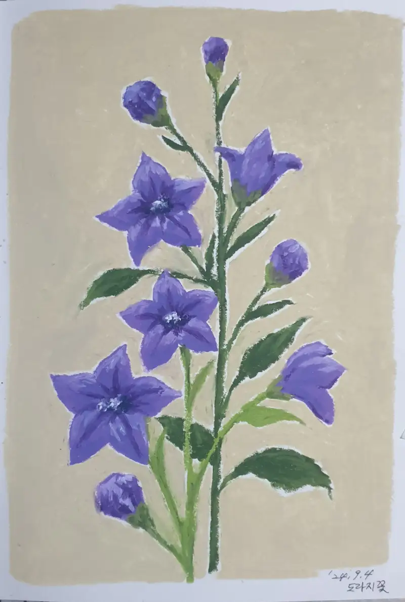 문교오일파스텔