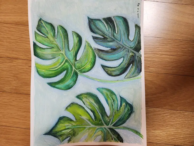 화방넷드로잉,드로잉로그,몬스테라,그림습관