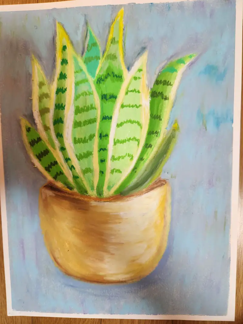 화방넷드로잉로그,드로잉로그,산세베리아,그림습관