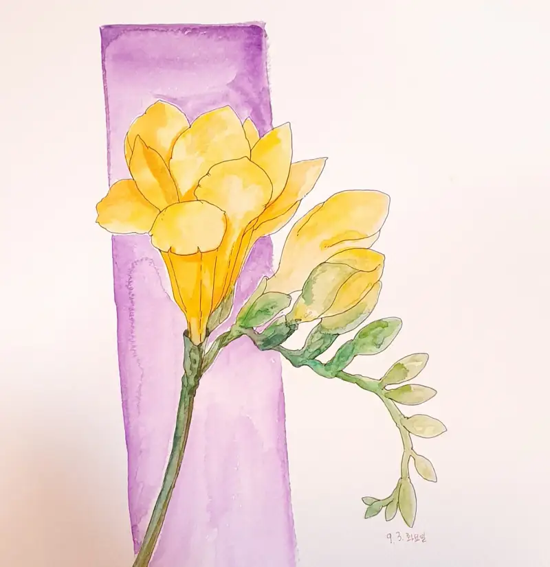 화방넷드로잉로그,드로잉로그,여름꽃