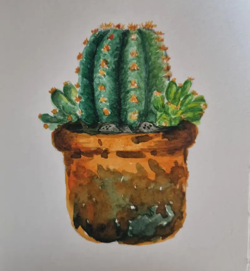화방넷드로잉로그,키우고싶은식물,선인장,수채화,문교수채고체물감,핀터레스트참조